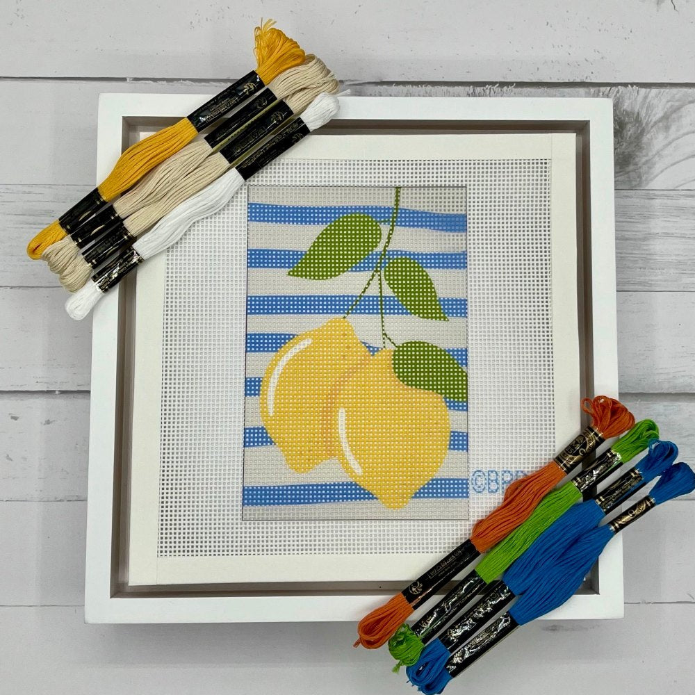 Beginner Needlepoint Canvases