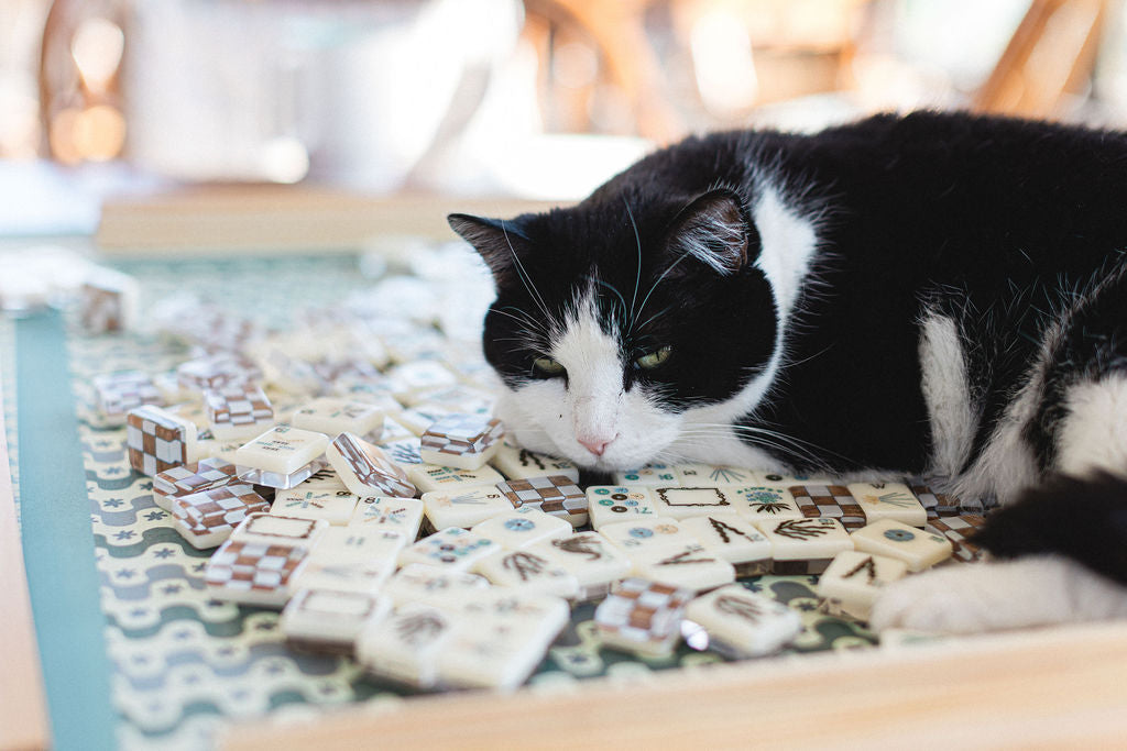 Black and white cat playing with a puzzle on a wooden table.  | The Pepper Pot Barrington, IL 