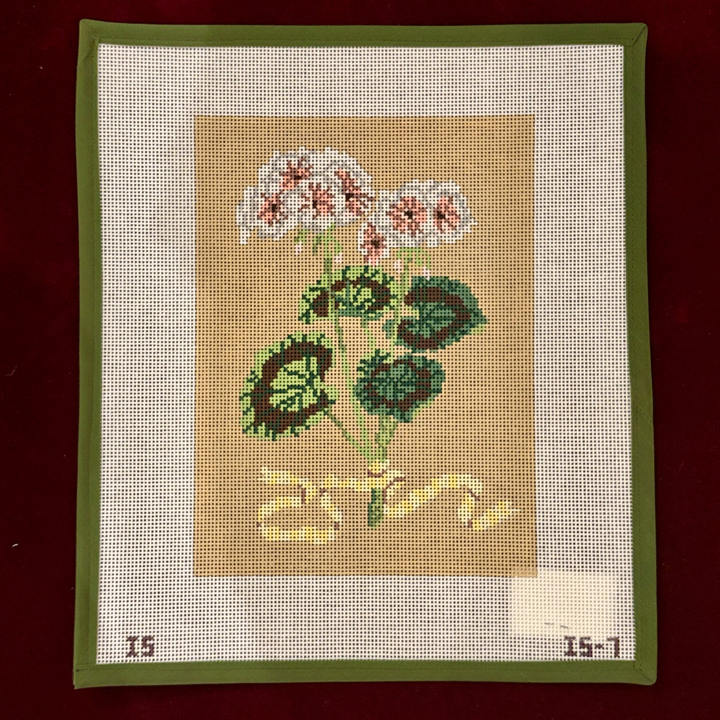 Geraniums