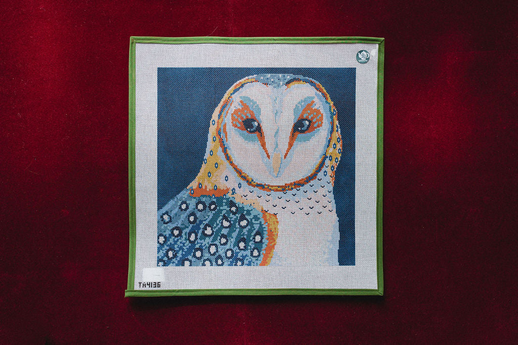 Barn Owl-Canvas-Thorn Alexander-The Pepper Pot