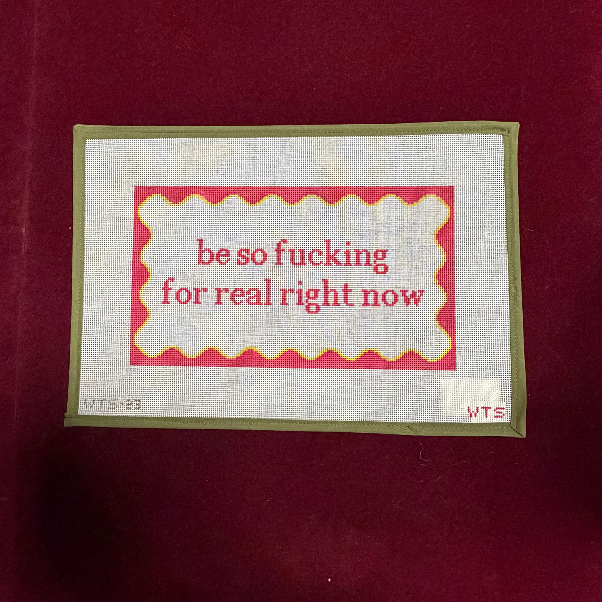Be So F-ing For Real-Canvas-What's The Stitch-The Pepper Pot
