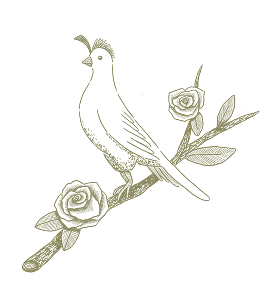 Decorative illustration of a bird perched on a branch with roses, on a white background.