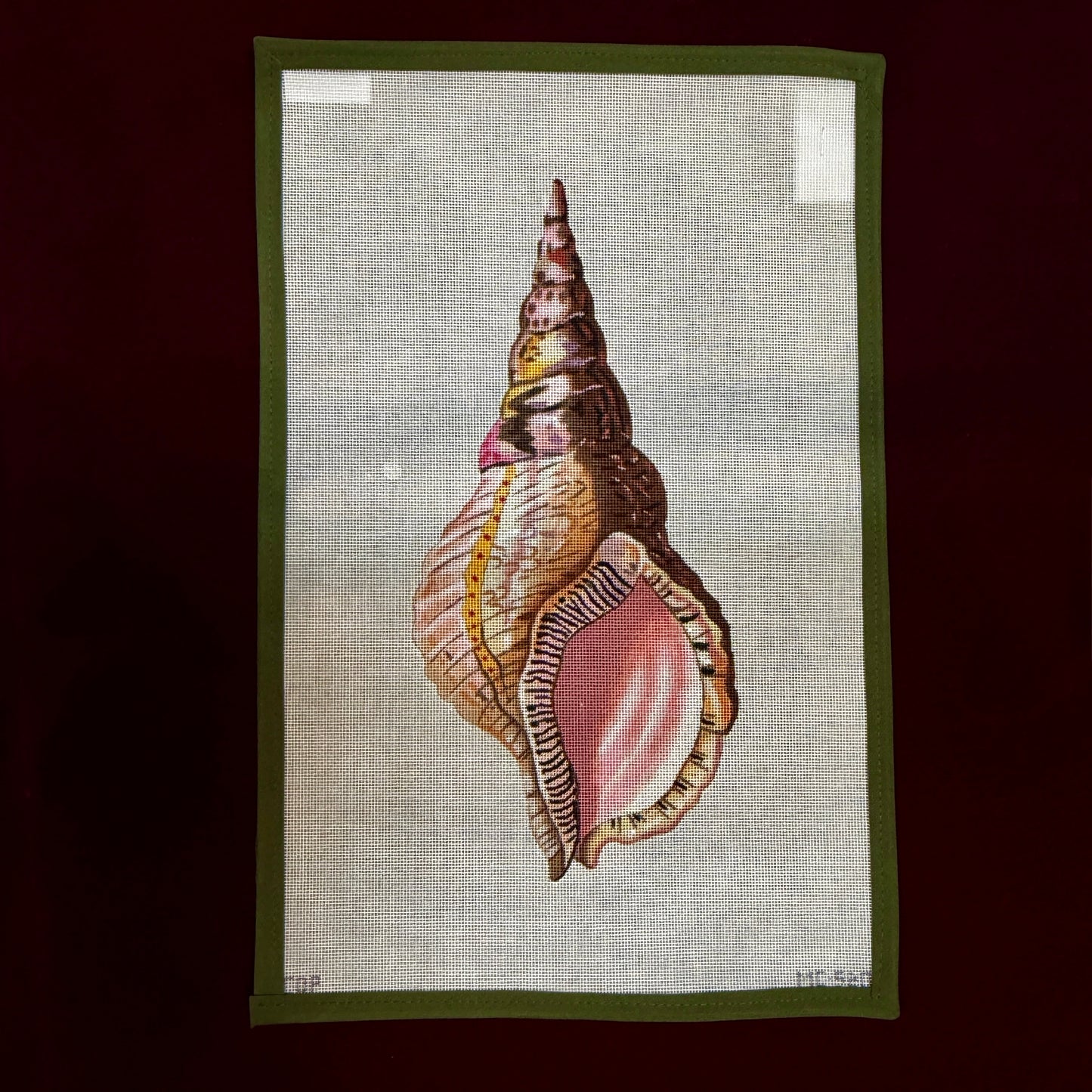 Conch Seashell-Needlepoint Canvas-Colors of Praise-The Pepper Pot Barrington, IL