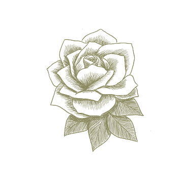 Line drawing of a rose on a white background
