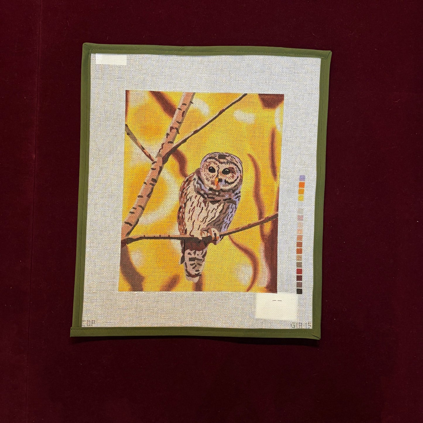 Owl Perched-Canvas-Colors of Praise-The Pepper Pot
