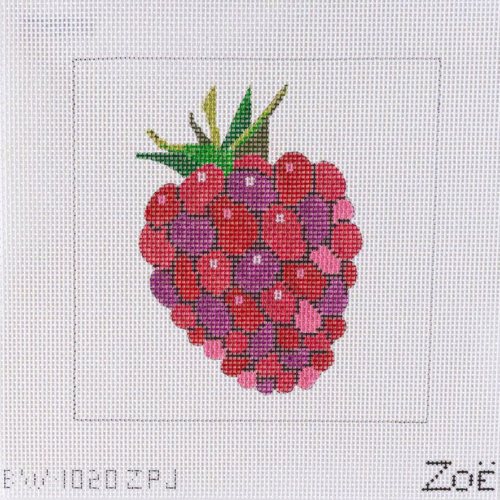 Raspberry Kit