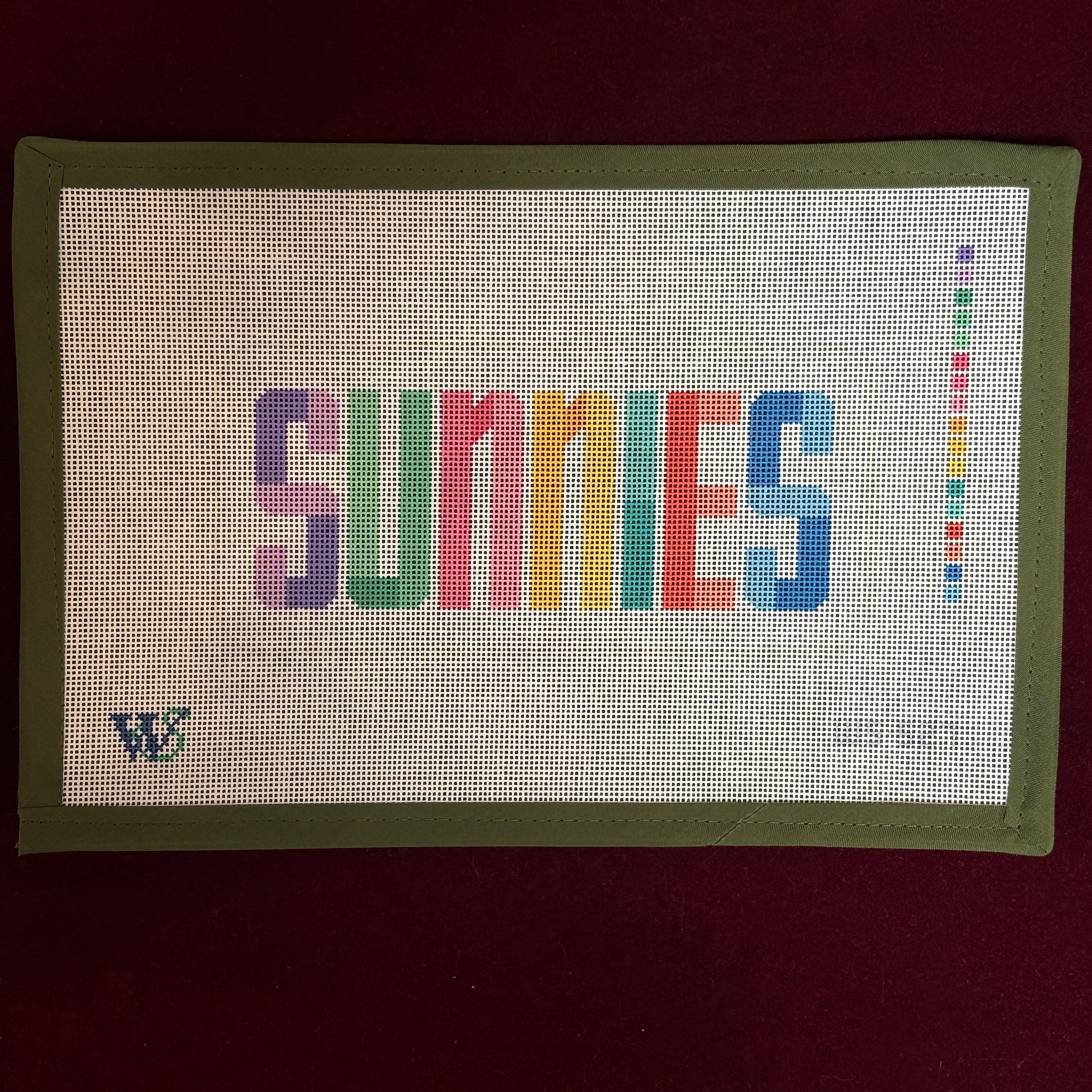Sunnies Case - Bright-Needlepoint Canvas-Wipstitch-The Pepper Pot Barrington, IL